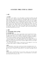 사이버전쟁의 현황과 특성 문제점및 대응방안(A+)-2