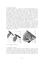 [도시공학] 암스텔담-8
