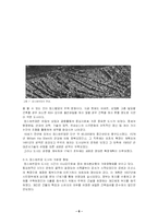 [도시공학] 암스텔담-9