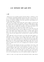 소비의 양면성에 따른 소비자 행동분석-2