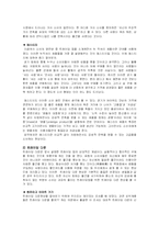 소비의 양면성에 따른 소비자 행동분석-9