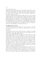 소비의 양면성에 따른 소비자 행동분석-13