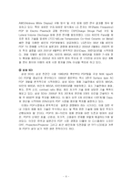 [시장조사론]PDP TV와 세계 PDP TV 업체의 동향분석-6