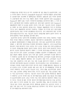[경영] 다국적기업의 경쟁우위를 위한 경영전략 수립에-8