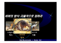 [독서감상문]당신과 당신의 팀에 뜨거운 열정을 불러오는 외침 - 겅호(GUNG HO)-11