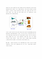 [e비지니스]인터넷산업의 경영전략에 관한 논의-10