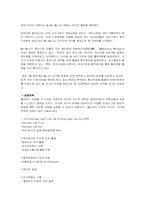 [e비지니스]월마트(Walmart)의 온라인시장진출 경영전략분석-4