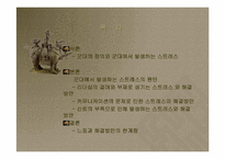 [조직행동]군대의 정의와 군대에서 발생하는 스트레스-2