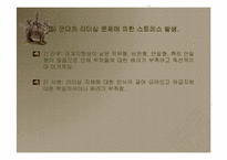 [조직행동]군대의 정의와 군대에서 발생하는 스트레스-6