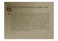[조직행동]군대의 정의와 군대에서 발생하는 스트레스-13