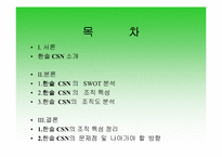 [경영조직론] 한솔CSN의 SWOT분석과 조직도분석-2