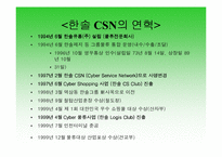 [경영조직론] 한솔CSN의 SWOT분석과 조직도분석-5