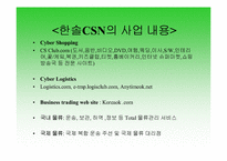 [경영조직론] 한솔CSN의 SWOT분석과 조직도분석-8
