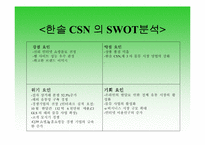 [경영조직론] 한솔CSN의 SWOT분석과 조직도분석-12