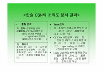 [경영조직론] 한솔CSN의 SWOT분석과 조직도분석-15