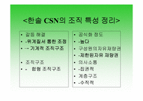 [경영조직론] 한솔CSN의 SWOT분석과 조직도분석-17