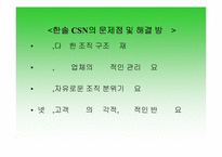 [경영조직론] 한솔CSN의 SWOT분석과 조직도분석-18