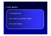[조직행동]각 국별 팀제에 대한 비교 분석-13