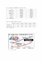 [사회문제] 신용불량자-정부정책상의 문제점을 중심으로-5