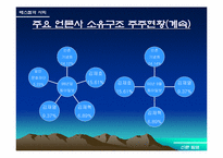 [언론매체]신문의 독과점현상과 안티조선운동-7