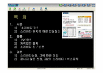 [지적재산권]소리바다에 대한 찬반논쟁-2