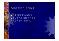 [한국경제]한국과 일본의 경제발전비교-8