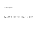 [국제화폐] Euro도입에 따른 국내 기업의 대응전략-1