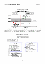[국제화폐] Euro도입에 따른 국내 기업의 대응전략-13