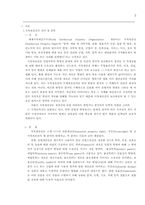[국제경영]국제통상에서의 지적재산권(Intellectual Property)-3