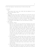 [국제경영]국제통상에서의 지적재산권(Intellectual Property)-6