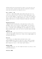 [중국문화]중국의 문화예술 -경극과 빙등제에 대하여-10