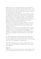[중국문화]중국의 문화예술 -경극과 빙등제에 대하여-12