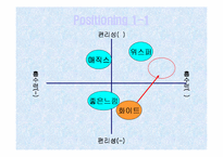[광고기획론]여성생리대 화이트(WHITE)의 광고기획서-19