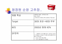 [광고기획서]해찬들 고추장의 브랜드인식을 위한 마케팅기획서-8