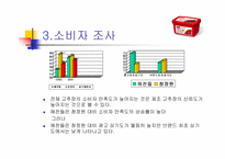 [광고기획서]해찬들 고추장의 브랜드인식을 위한 마케팅기획서-20