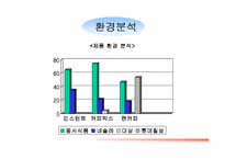 [마케팅전략]맥심모카골드 마일드의 광고기획서-3