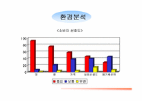 [마케팅전략]맥심모카골드 마일드의 광고기획서-4