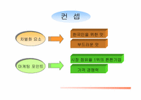 [마케팅전략]맥심모카골드 마일드의 광고기획서-9