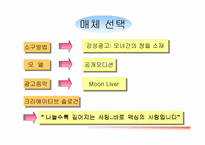 [마케팅전략]맥심모카골드 마일드의 광고기획서-12