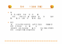 [광고전략]삼성 지펠냉장고(Zipel)의 광고기획서-13