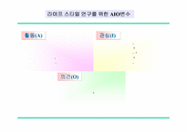 [소비자행동]라이프 스타일(Life&nbsp;Style)과 스포츠 소비자 행동-6