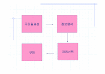 [소비자행동론]스포츠웨어 소비자 구매행동 성향-3