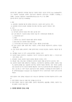 [사이버중독] 사이버공간의 특성과 인터넷중독문화의 사례와 방안-4