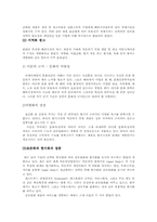 [광고전략]국제광고의 정의와 다국적광고의 국제적유통-8
