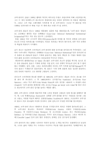 [광고전략]국제광고의 정의와 다국적광고의 국제적유통-12
