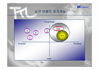 [브랜드마케팅]SK텔레콤의 TTL브랜드전략 성공사례분석-10