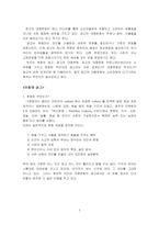 [광고전략]광고와 대중문화 커뮤니케이션과 광고가 문화를 이용하는 목적-2