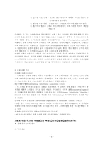 [마케팅전략]국제광고(마케팅)의 개념과 광고전략-9