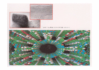 [생명공학]나노기술의 개념과 응용분야-9
