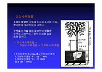 [건축] 옥상조경시 고려되는 하중의 특성-9